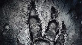 2KGMKT_EVOLVE_XBOX_ONE_FOB_NOAMARAYEDGES_PEGI