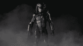 predator