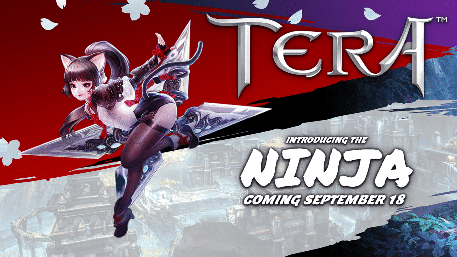 Tera Ninja