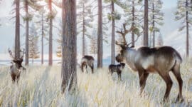 Planet Zoo