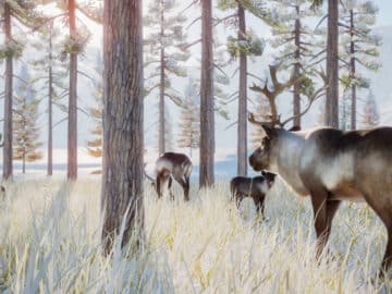 Planet Zoo