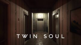 Twin Soul Logo