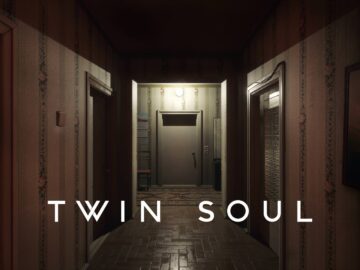 Twin Soul Logo