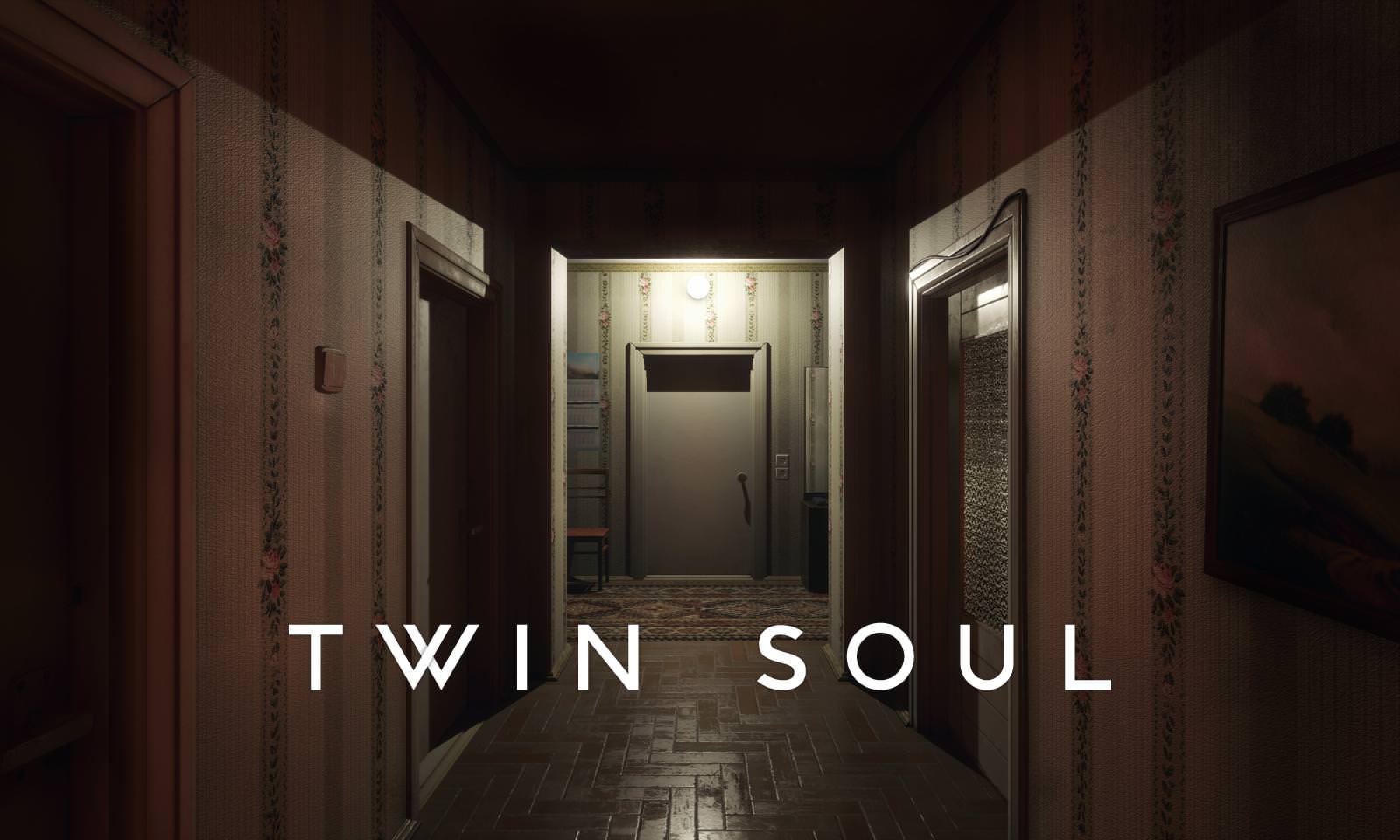 Twin Soul Logo