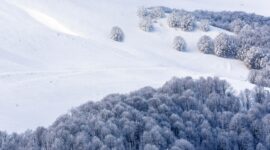 snow-4730565_1920