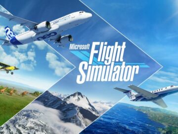 MS Flight Simulator