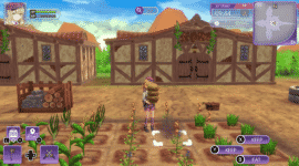 Rune Factory 5 